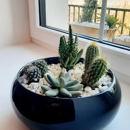 Bellevue Vlasta Stary Smokovec *